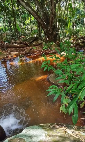 Chácara em roda d? água Cariacica