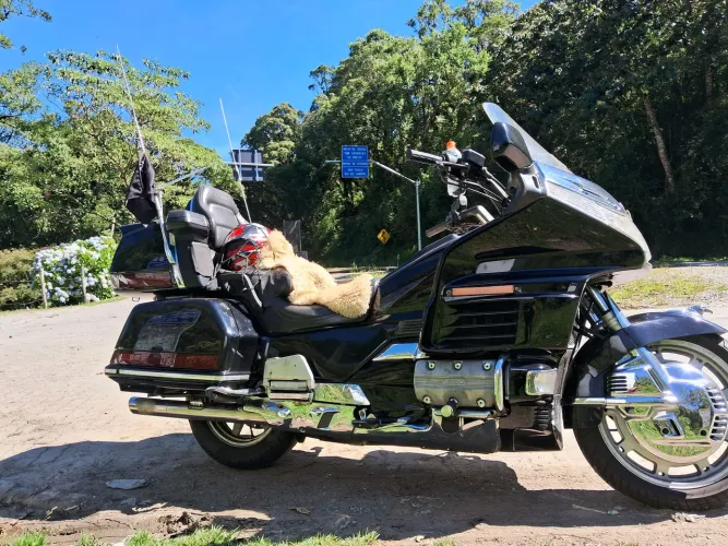 Raridade honda GL1500 , oportunidade, 