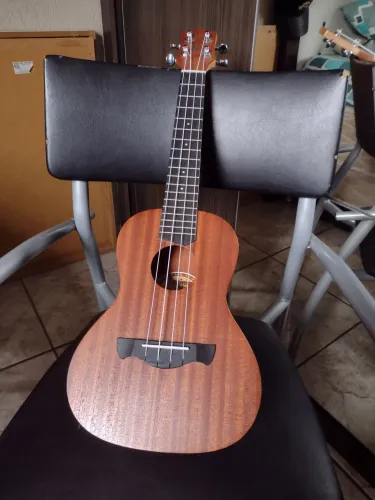 Ukulele Concert Seminovo