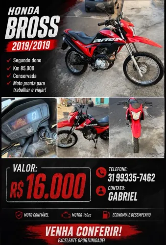 Bross 2019 conservada