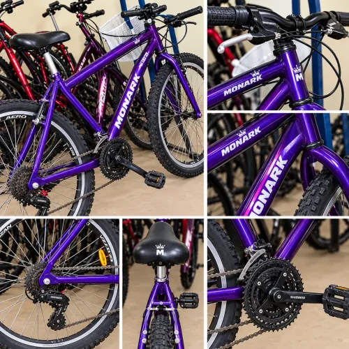 Bicicleta Monark Adulto