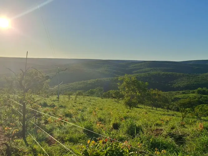 Fazenda a venda em Salinas-Mg