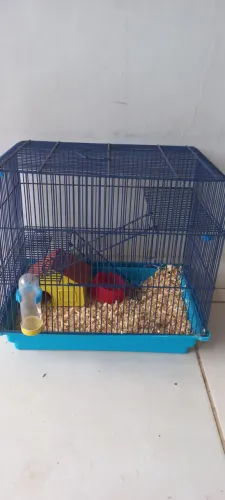 GAIOLA PRA RAMMSTER