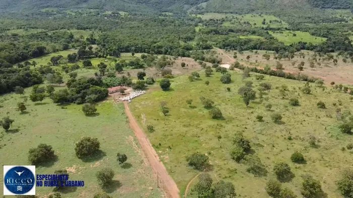 FAZENDA À VENDA | 233 ALQUEIRES | PORTO NACIONAL - TO