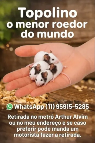 Topolinos 