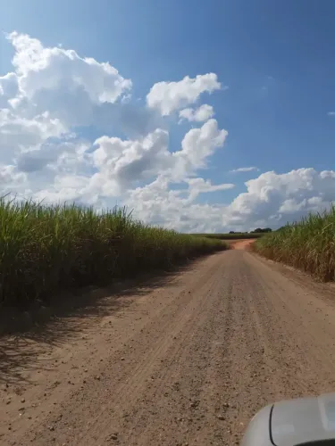 Sítio  para venda com 20000 metros , Córrego  da Onça, área Rural de Charqueada - Charquea