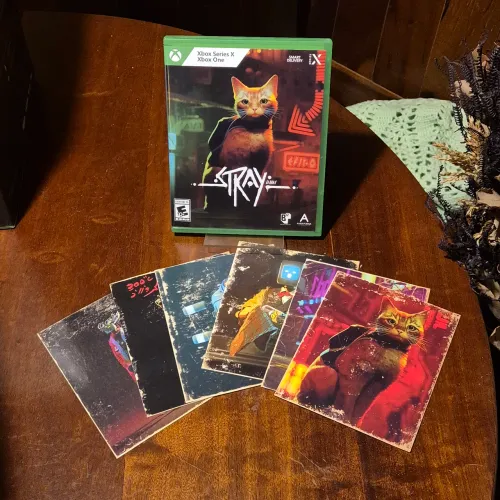 Stray Xbox Series X