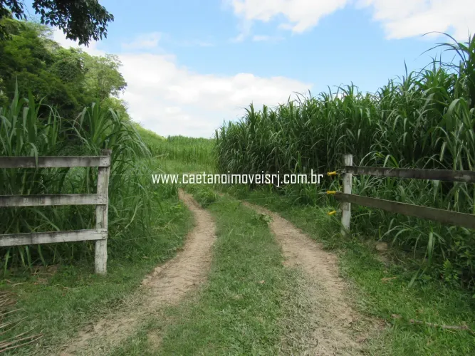 Fazenda Produtiva C/ 30 Hectares - C/ Excelente Localização