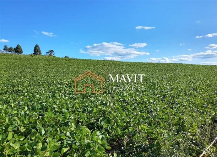 Terreno Rural 25 hectares com Casa e Galpão em Capão Alto SC