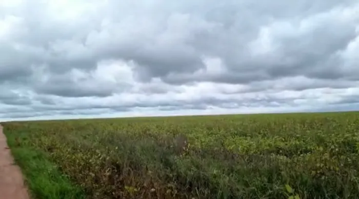 Fazenda em Nova Ubiratã MT- 8.949 ha