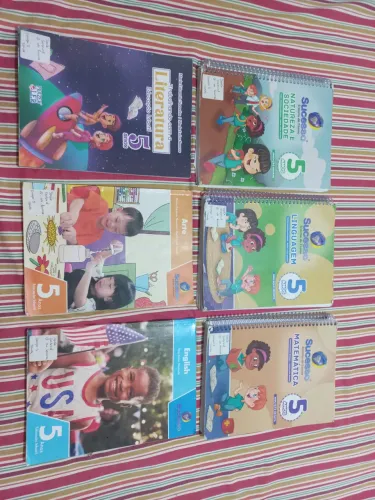 Livros Sucesso Sistema de Ensino Infantil 5 Anos (Educação Infantil) 