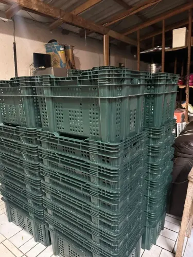 Caixas organizadoras hortifrut