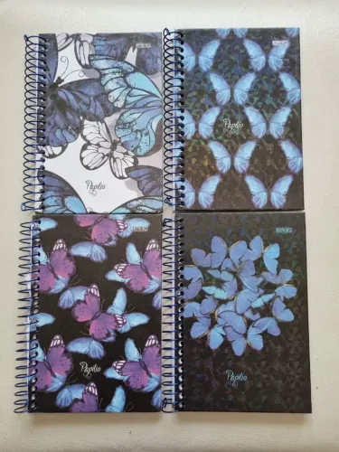 Agenda São Domingos (A6)