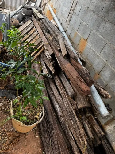 Madeira para lenha