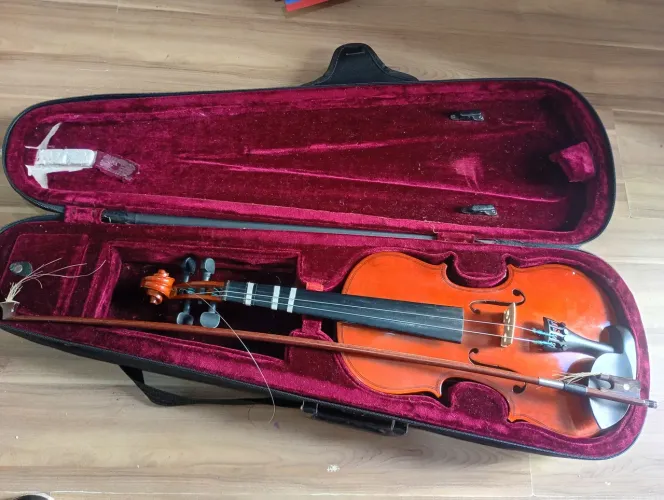Violino Tagima