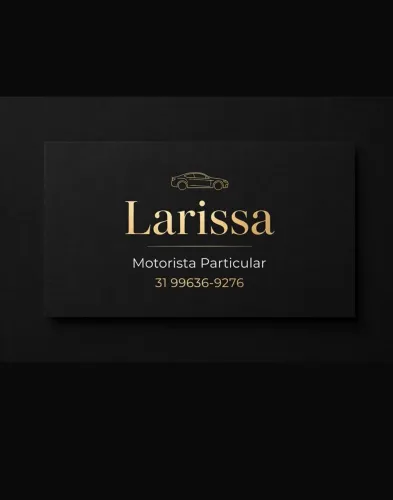 Motorista particular 