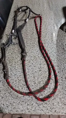 Encilha freio para pônei