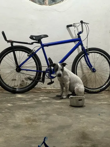 Bicicleta pra vender aro 26 filé 1000 tem conversa