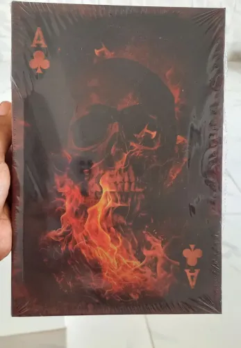 Livro Trevo Negro