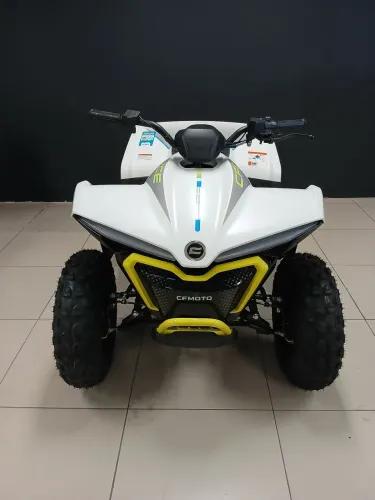 Cforce 110 EV