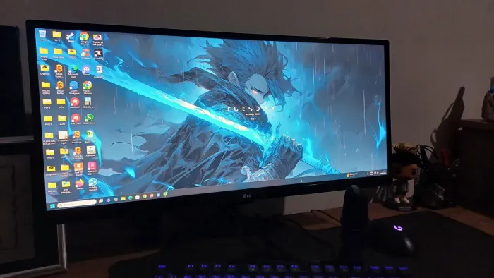 LG 25" UltraWide? IPS Full HD 21:9 - Modelo 25UM58-P - usado