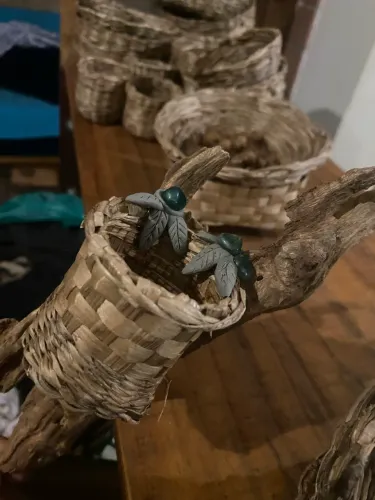 basket to plants