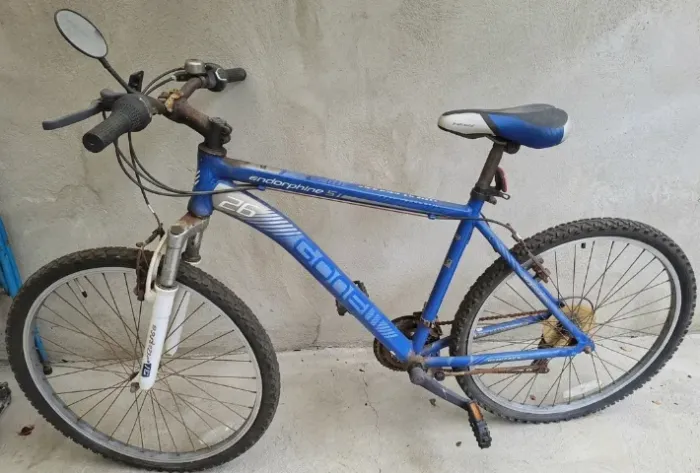 Bicicleta Gonew Endorphine 5.1 aro 26