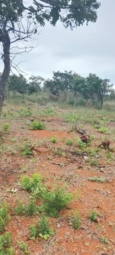 vende se um na região de chácara do Itapoã uns 200 metros do Itapoã parque 70 mil