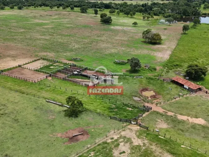 Fazenda 350 alqueires (1.694 hectares) Araguaçu - To