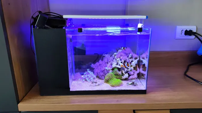 Aquário marinho completo 20l