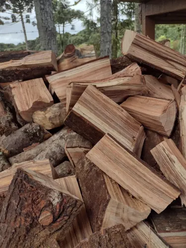 Lenha para fogão, forno, lareira, churrasqueira. A granel ou em sacos.