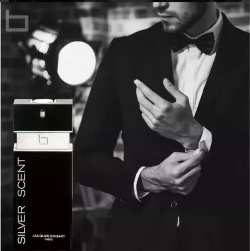 Perfume Silver Scent 1293