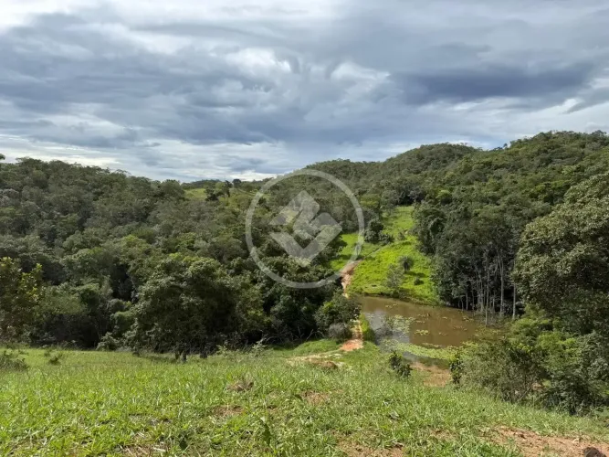 FAZENDA À VENDA  40 ALQUEIRES codigo: 392779