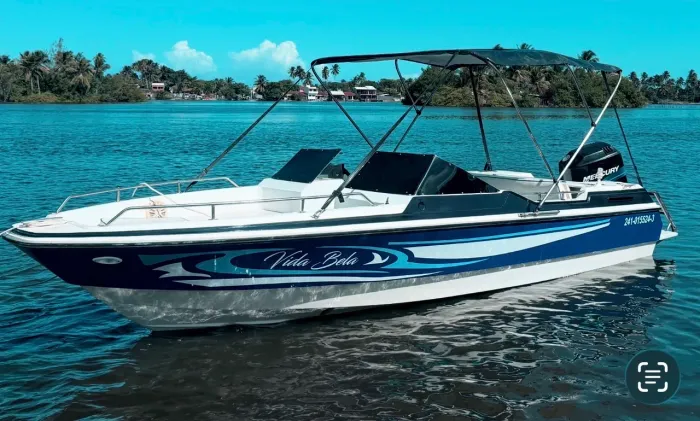 Lancha cobra 19 pés