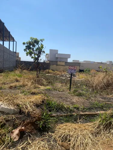 Lote Setor Três Marias 300m2