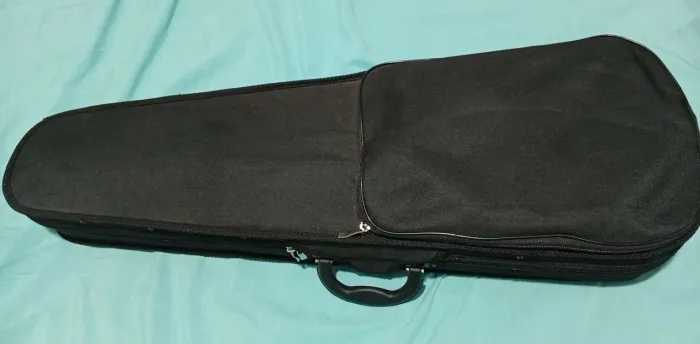 Violino