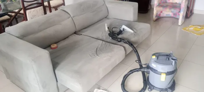Lavagem à seco e higienização 