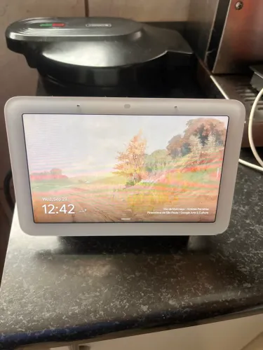 Google Nest Hub 2nd generation 