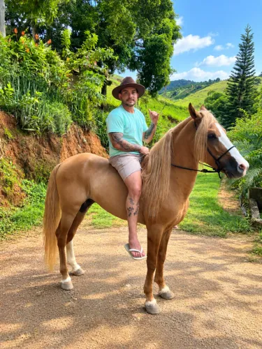 VENDO GARANHÃO MANGALARGA REGISTRADO 