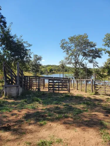 Arrendamento de Fazenda 