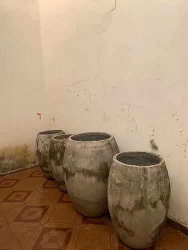 Vasos para plantas