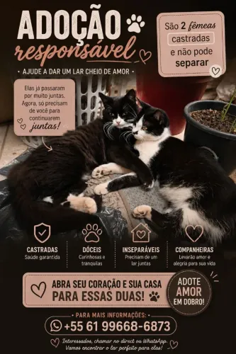 Doação castradas