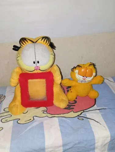 Dupla de Garfield 
