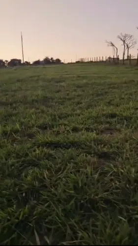 Lote/Terreno para venda tem 1850 metros quadrados em Zona Rural - Guapó - Goiás
