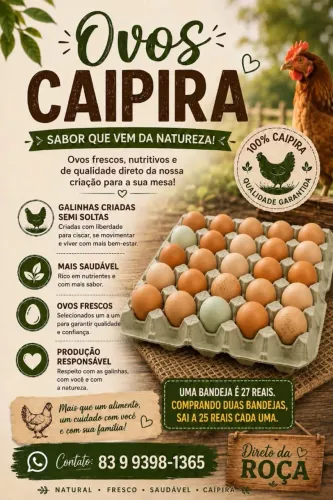 VENDO OVOS DE GALINHA CAIPIRA