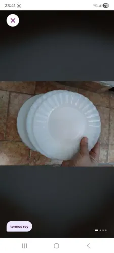 Pratos termo rey