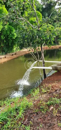 Chácara com 5 alqueires e água abundante à venda em São Miguel do Passa Quatro-GO codigo: