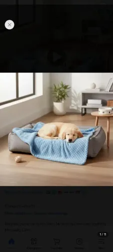 Caminha para pets . Conforto para seu pet e praticidade para você