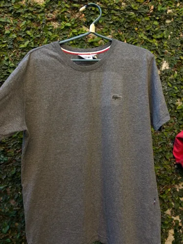 Camisa lacoste cinza mescla