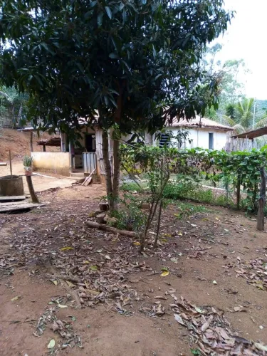 Vendo sítio 5 alqueires 